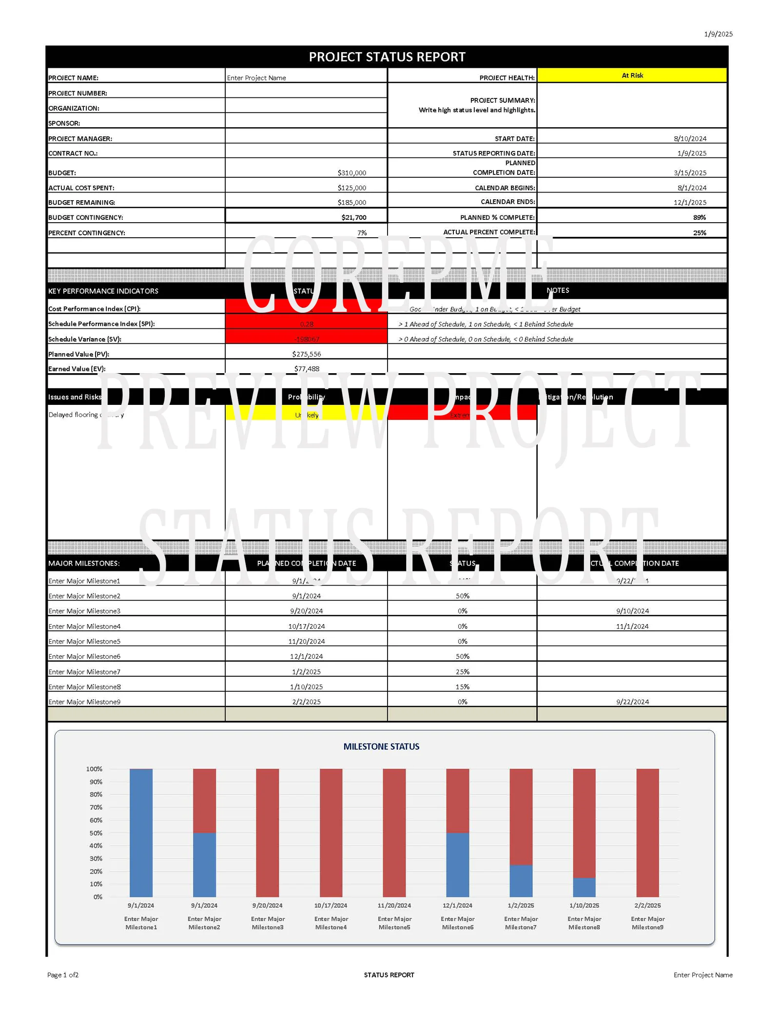 Status Report Template – Excel Document with Built-in Macros